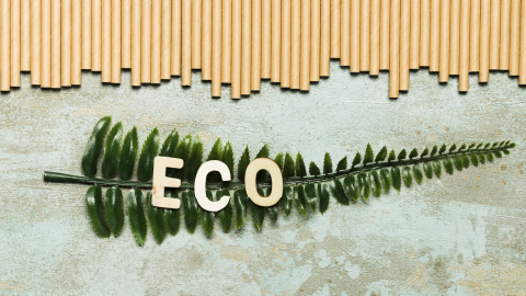 Eco-friendly processes